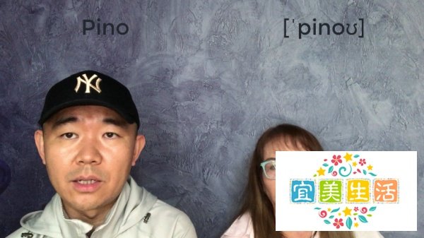 Pino是什么意思