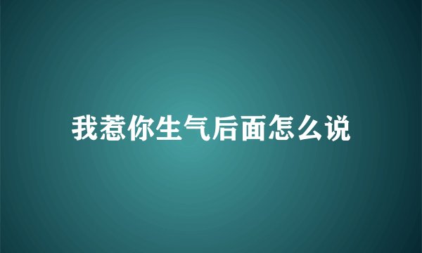 我惹你生气后面怎么说