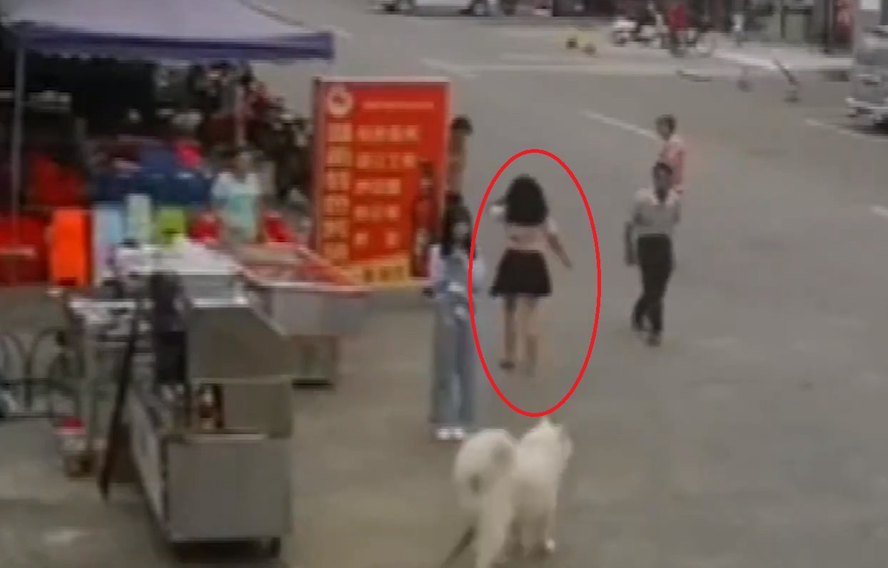 牵狗少女回应“逃跑”:当时并不知道是狗绳绊倒了老人,她的话可信吗?