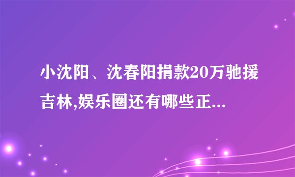 小沈阳、沈春阳捐款20万驰援吉林,娱乐圈还有哪些正能量艺人?