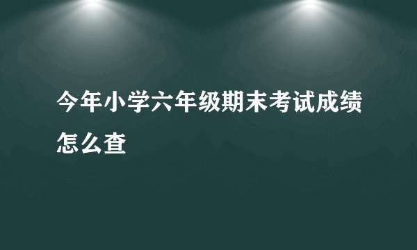 今年小学六年级期末考试成绩怎么查