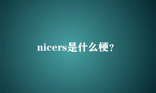 nicers是什么梗?