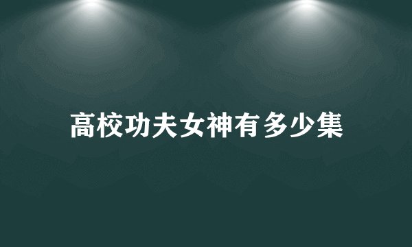 高校功夫女神有多少集