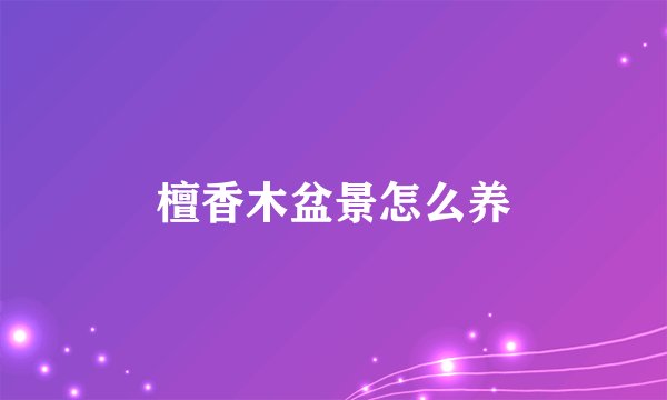 檀香木盆景怎么养