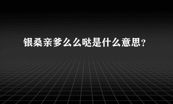 银桑亲爹么么哒是什么意思？