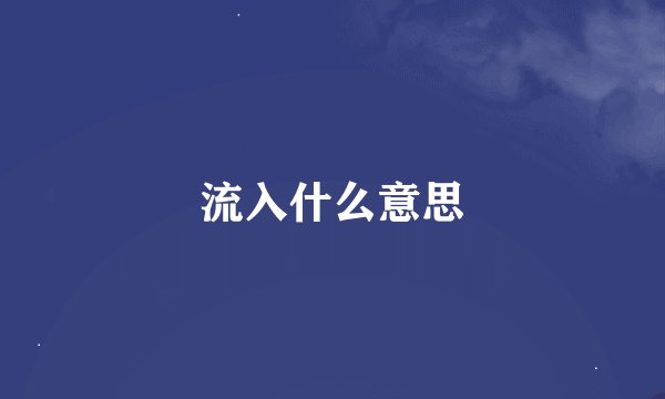 流入什么意思
