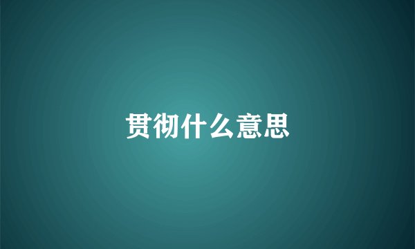 贯彻什么意思