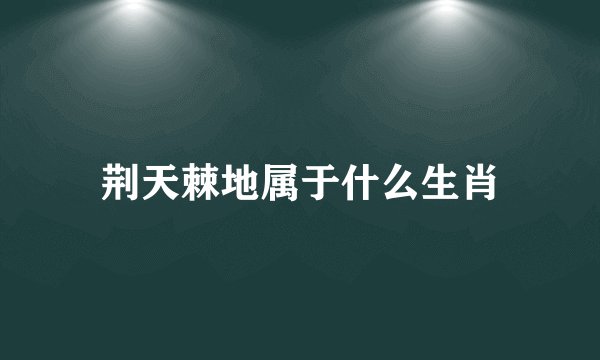 荆天棘地属于什么生肖