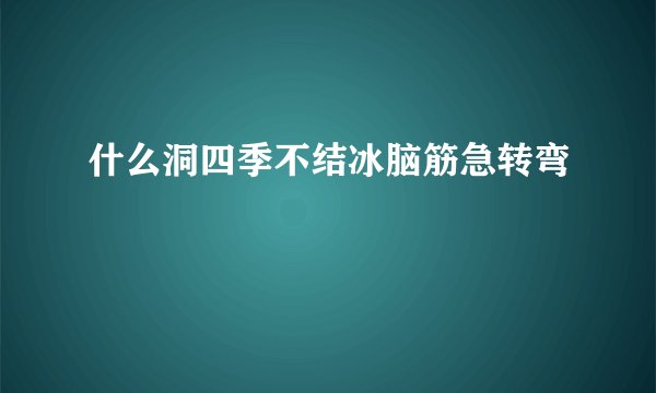 什么洞四季不结冰脑筋急转弯