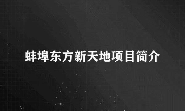 蚌埠东方新天地项目简介