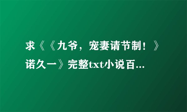 求《《九爷，宠妻请节制！》诺久一》完整txt小说百度网盘下载链接