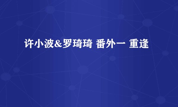 许小波&罗琦琦 番外一 重逢