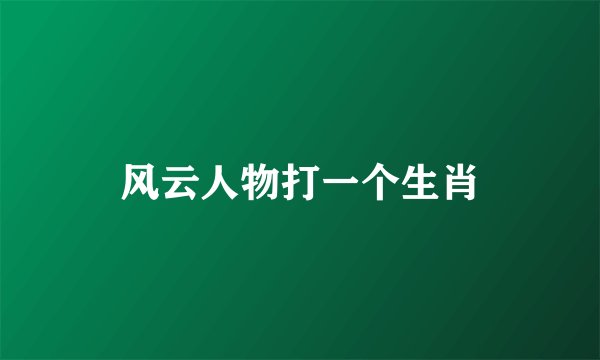 风云人物打一个生肖