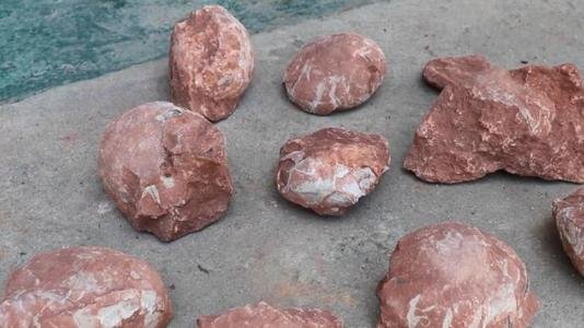 近日，在江西一处工地挖出6600万年前恐龙蛋化石，专家鉴定后有何发现？