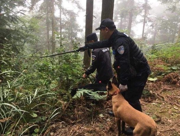 陕西双胞胎消失3天3夜,警犬锁定废窑洞,孩子安全意识淡薄到底有多可怕?