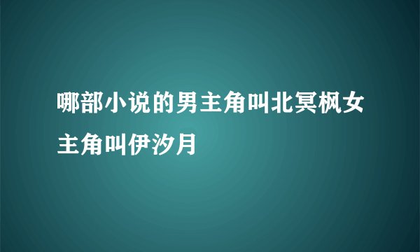 哪部小说的男主角叫北冥枫女主角叫伊汐月