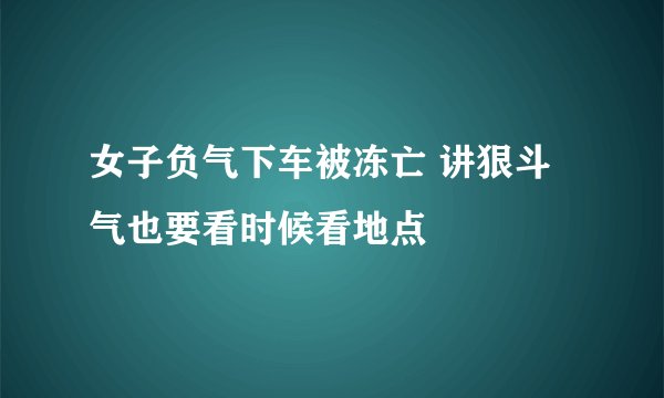 女子负气下车被冻亡 讲狠斗气也要看时候看地点