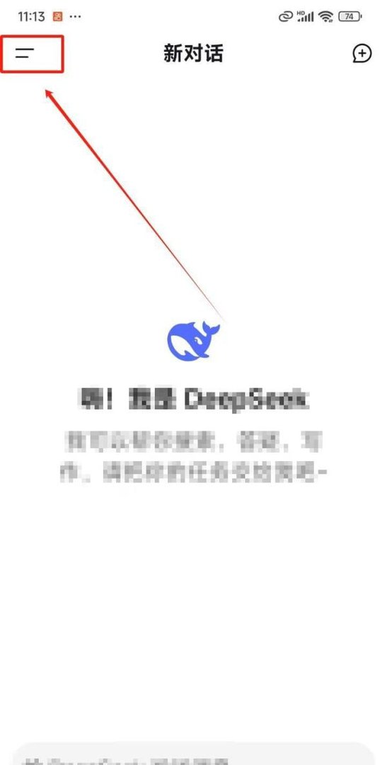 DeepSeek怎样查看软件版本号