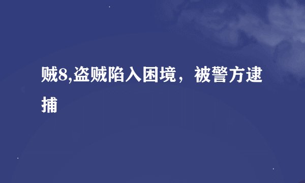贼8,盗贼陷入困境，被警方逮捕