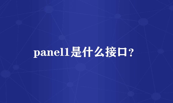 panel1是什么接口？