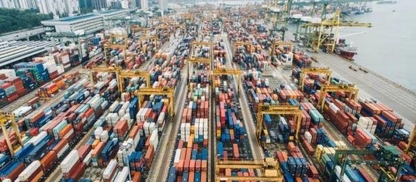 报关单提运单号与提单号的区别在哪里?