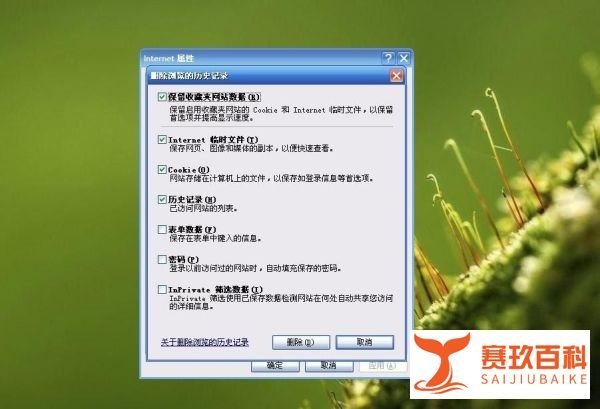 删除浏览器历史记录的方法