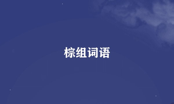 棕组词语
