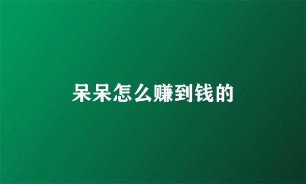 呆呆怎么赚到钱的