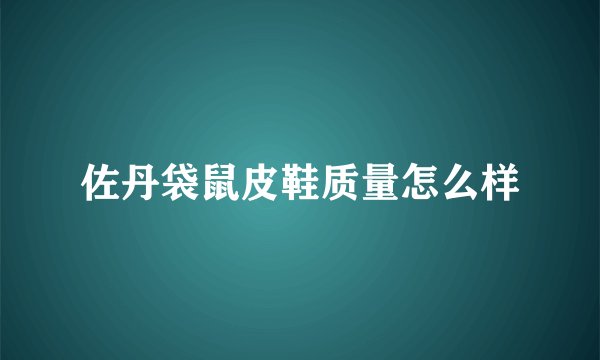 佐丹袋鼠皮鞋质量怎么样