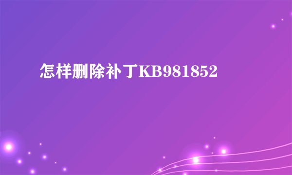 怎样删除补丁KB981852