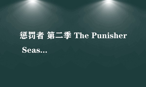 惩罚者 第二季 The Punisher Season 2 (2019)全集未删减高清版免费下载
