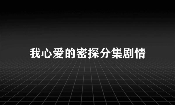 我心爱的密探分集剧情