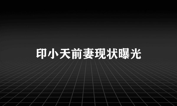 印小天前妻现状曝光