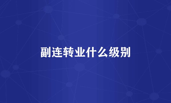 副连转业什么级别