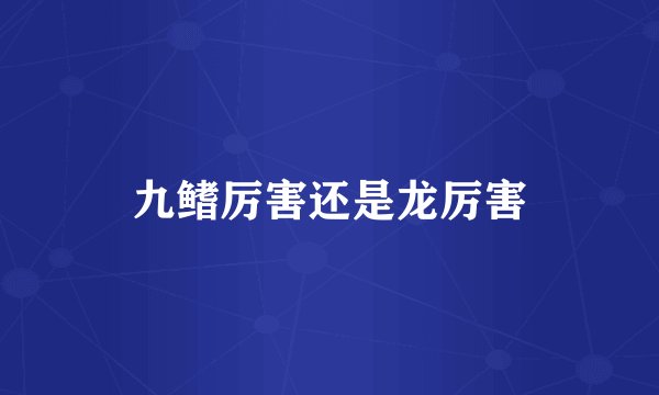 九鳍厉害还是龙厉害