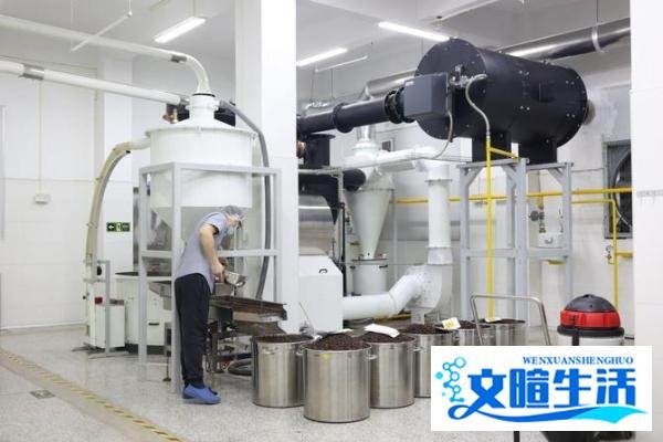 首创咖啡新品类,缇里首发靓爆莓啡超级美式咖啡!