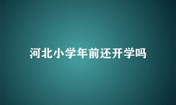 河北小学年前还开学吗
