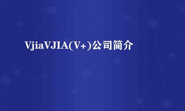 VjiaVJIA(V+)公司简介