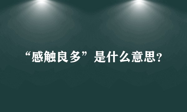 “感触良多”是什么意思？