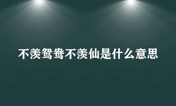 不羡鸳鸯不羡仙是什么意思