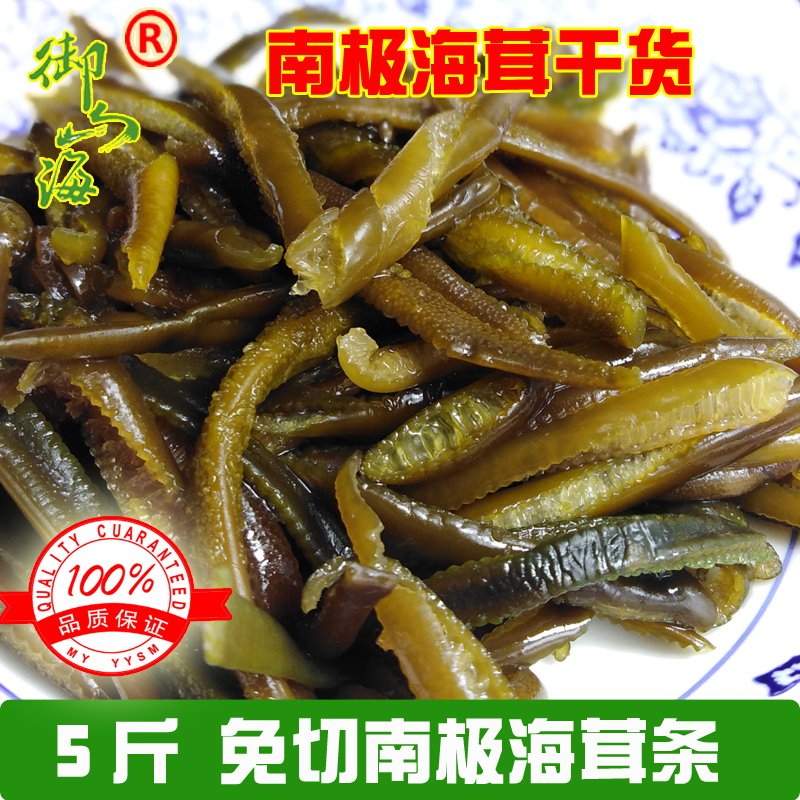 海蓉菜是什么