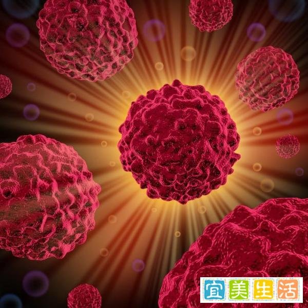 北京本轮疫情已经出现4例死亡病例!