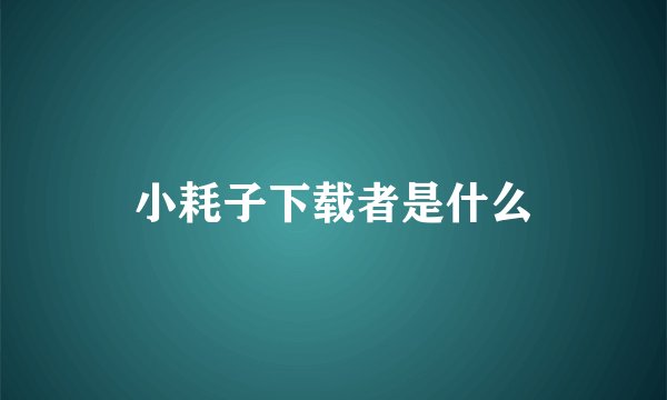 小耗子下载者是什么