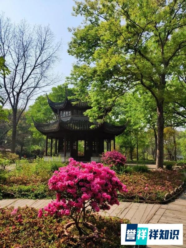 穷在闹市无人问，富在深山有远亲，风光之时人人围，落魄之后无人跟