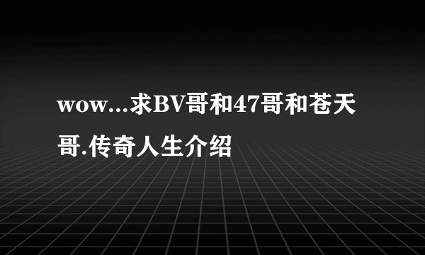 wow...求BV哥和47哥和苍天哥.传奇人生介绍