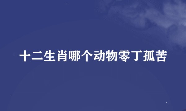 十二生肖哪个动物零丁孤苦
