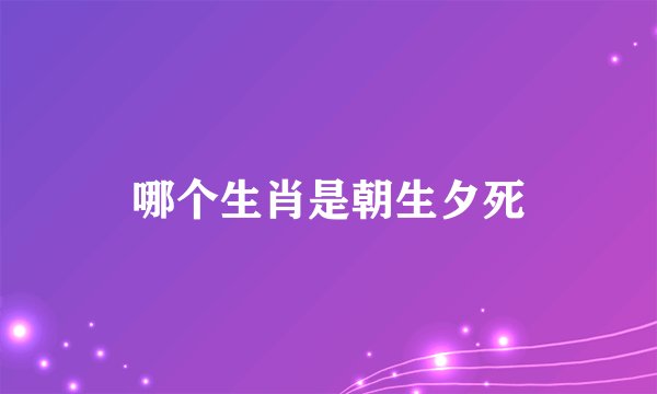 哪个生肖是朝生夕死