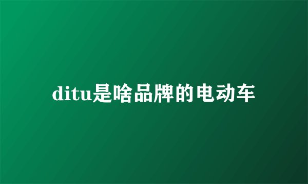 ditu是啥品牌的电动车