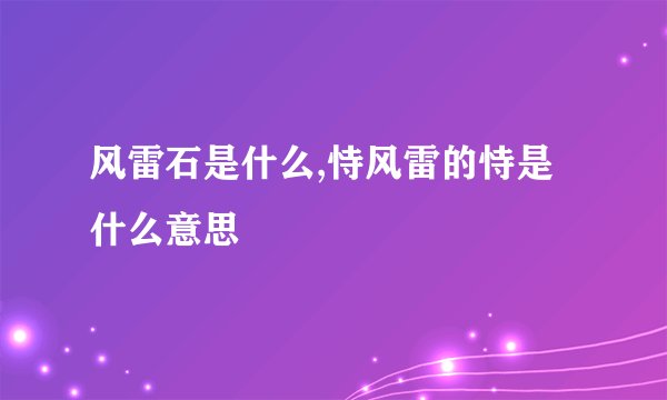 风雷石是什么,恃风雷的恃是什么意思