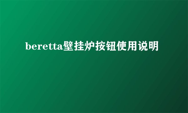 beretta壁挂炉按钮使用说明